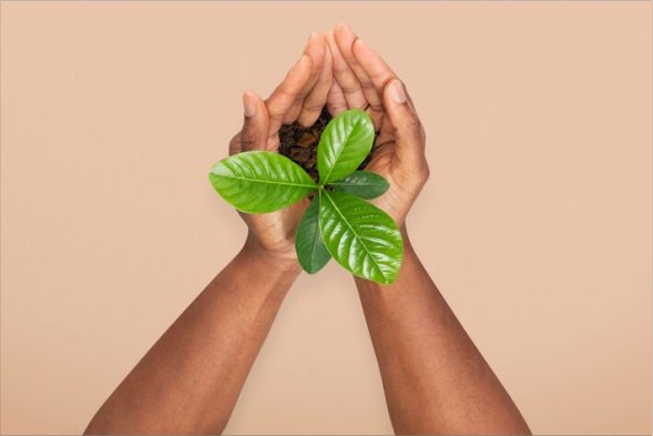 Sustainability Focus