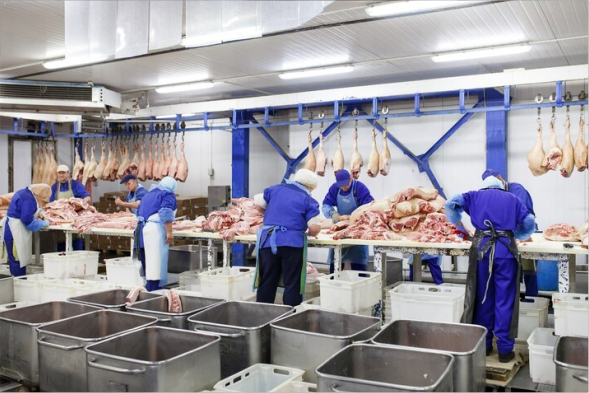 Rigorous Processing Standards